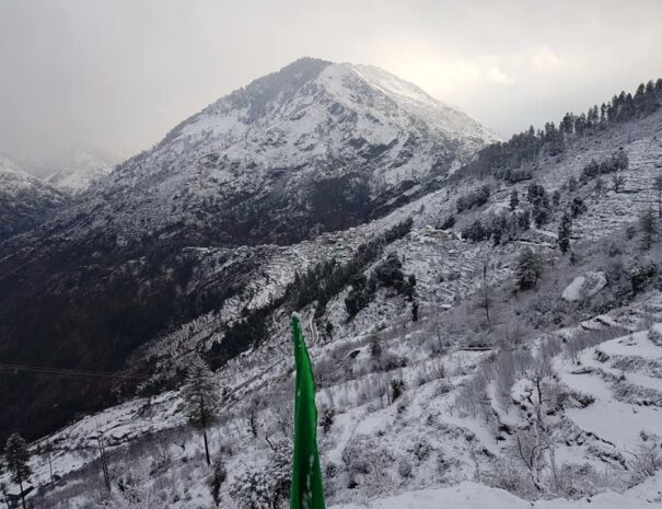 50519820_282014895800770_8308006448994975744_n